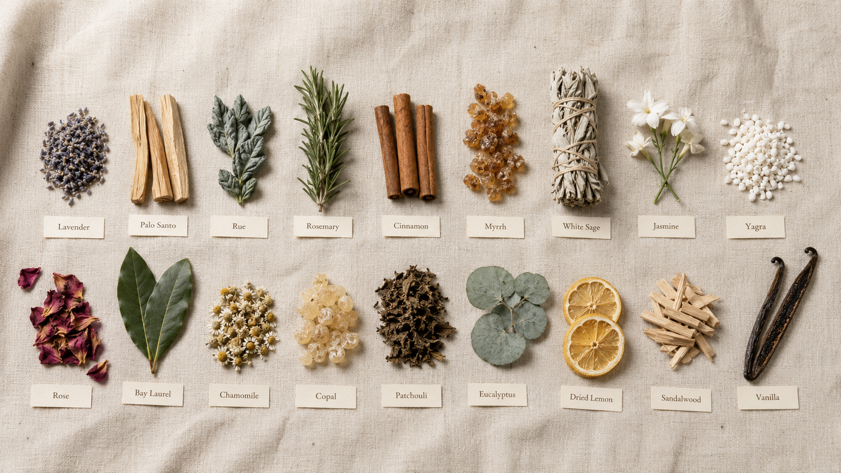 Descubre el ingrediente detrás de tu ritual