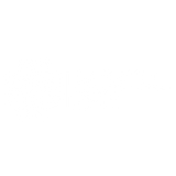 Portal Zen
